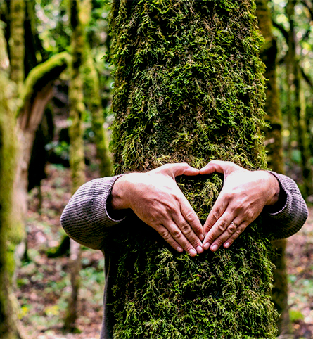 Nous serions ravis d’avoir de vos nouvelles